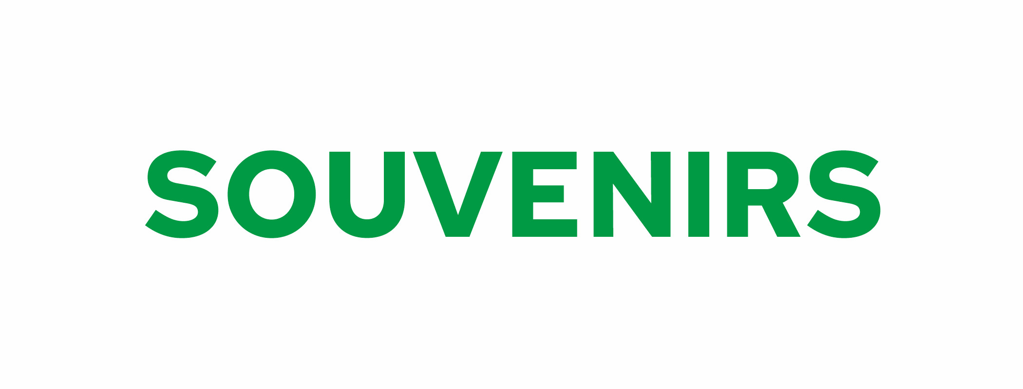 Souvenirs, photos, vidéos, Président du Grand Conseil vaudois, Stéphane Montangero